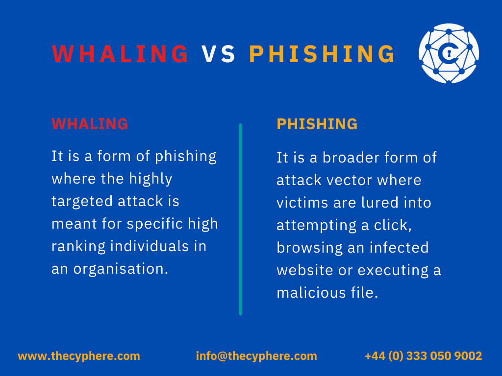 whaling vs phishing